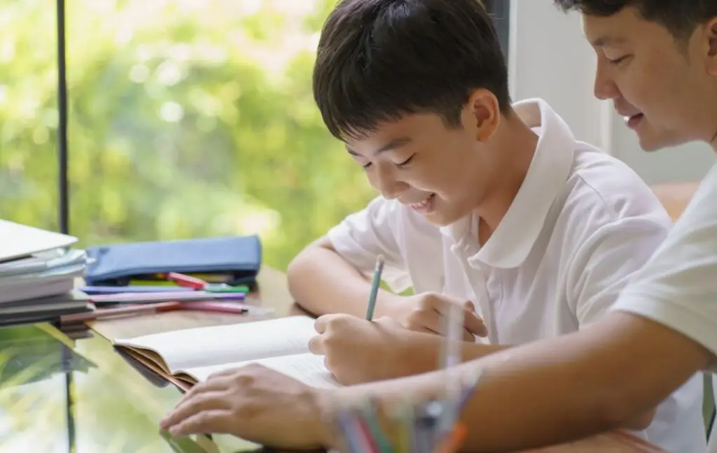 Secondary school student studying